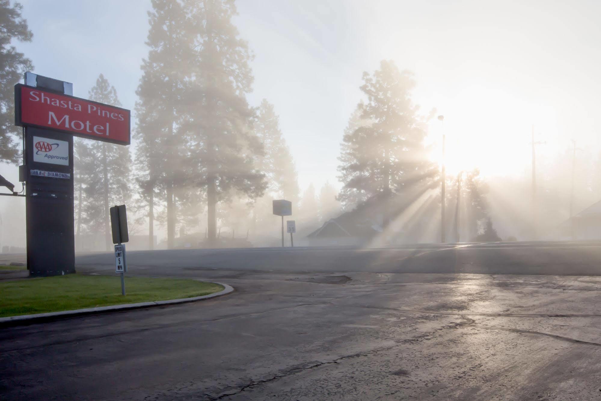 Shasta Pines Motel & Suites Burney Extérieur photo
